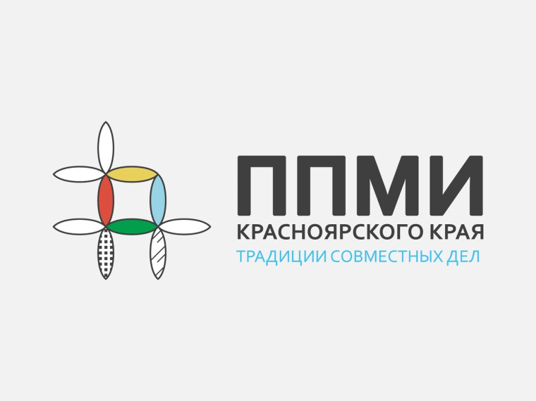 Реализация программы ППМИ в 2025 году. Реализация программы ППМИ в 2025 году.
